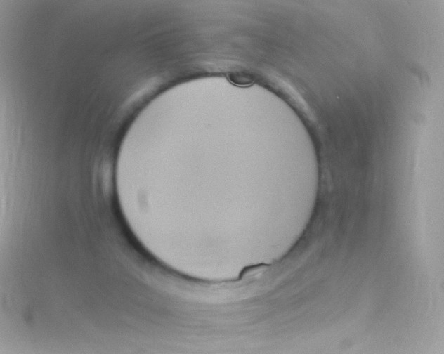 X0000115420019200911241357