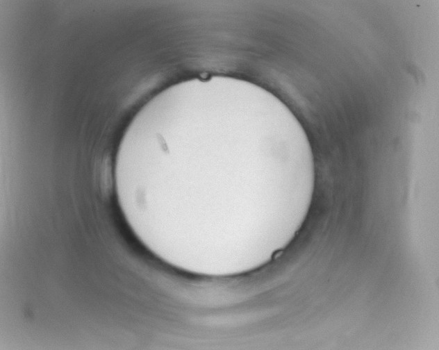 X0000115420020200911241357