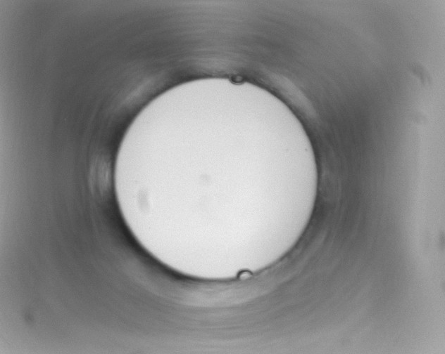 X0000115420021200911241357