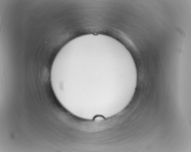 X0000115420025200911241357