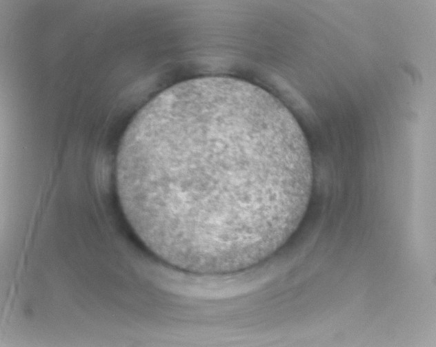 X0000115420026200911241357