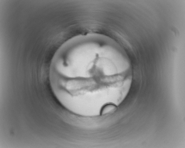 X0000115420030200911241357