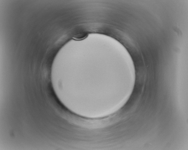 X0000115420031200911241357