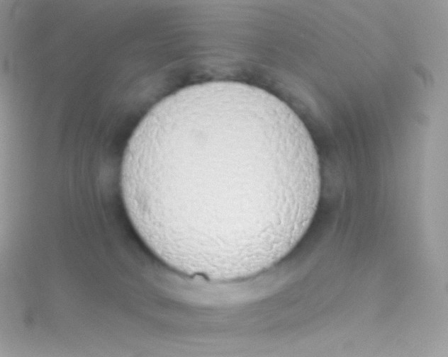 X0000115420034200911241357