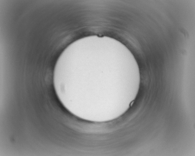 X0000115420036200911241357