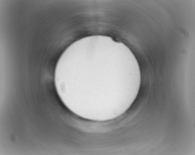 X0000115420040200911241357