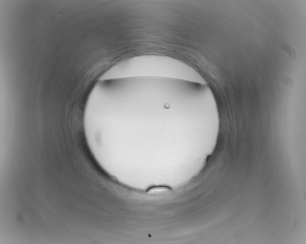 X0000115420043200911241357