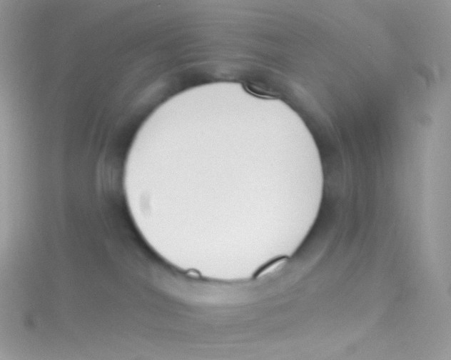 X0000115420044200911241357