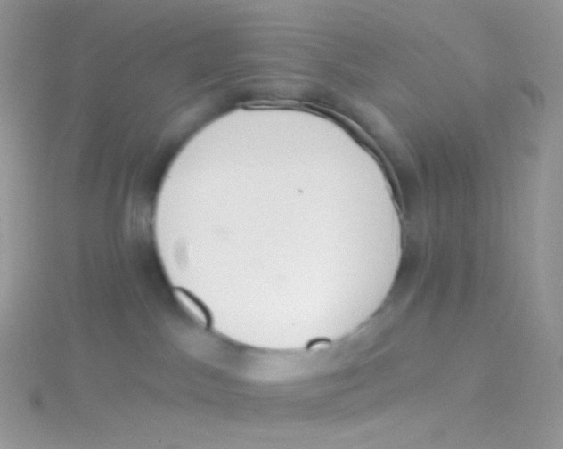 X0000115420045200911241357