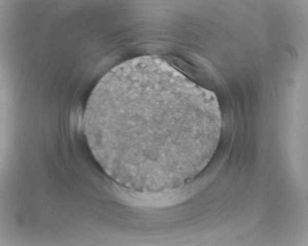 X0000115420046200911241357