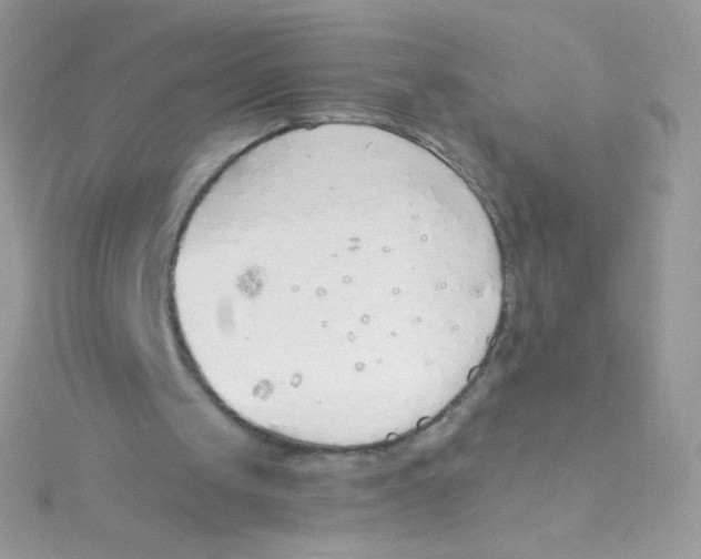 X0000115420049200911241356