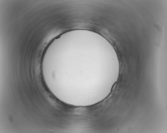 X0000115420050200911241356