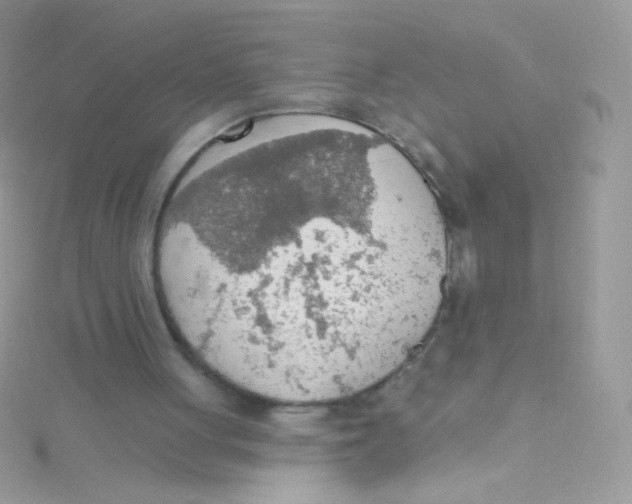 X0000115420051200911241356