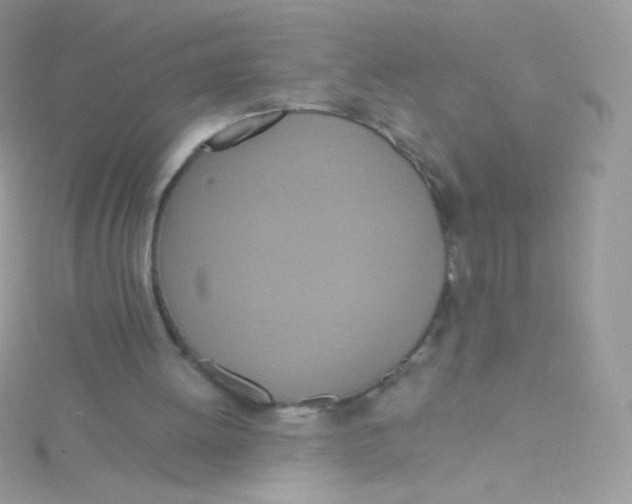 X0000115420052200911241356