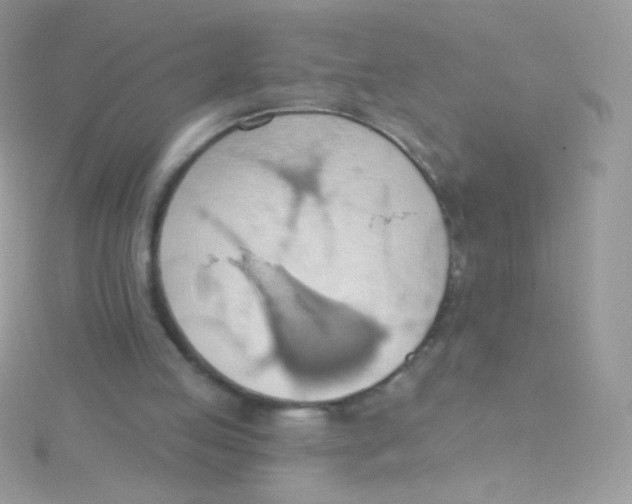 X0000115420053200911241356