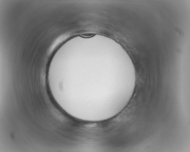 X0000115420054200911241356