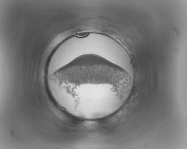 X0000115420055200911241356