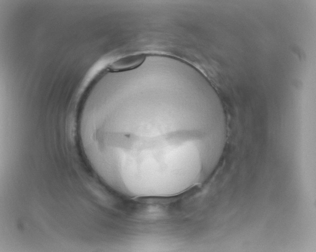 X0000115420056200911241356