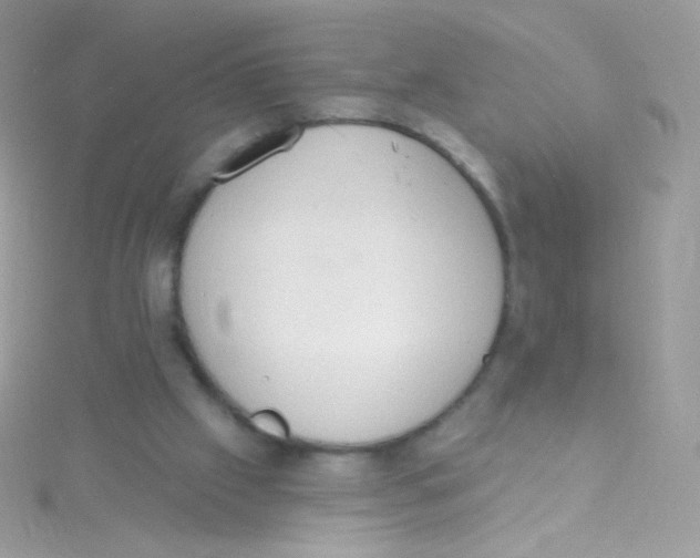 X0000115420057200911241356