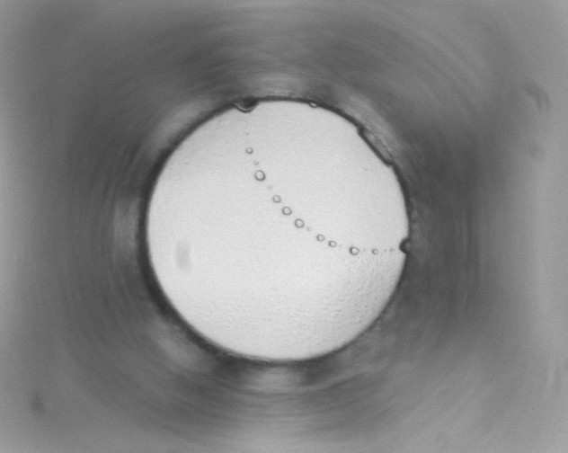 X0000115420058200911241356