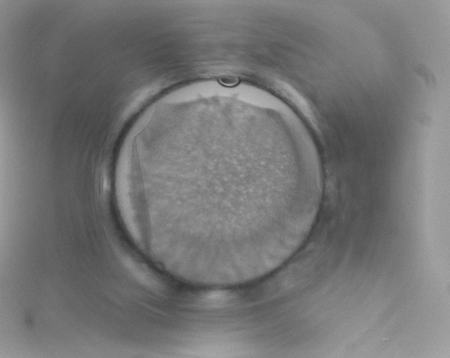 X0000115420059200911241356