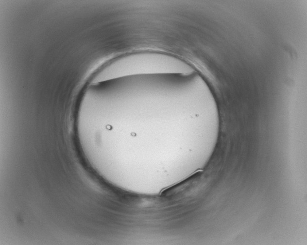 X0000115420060200911241356