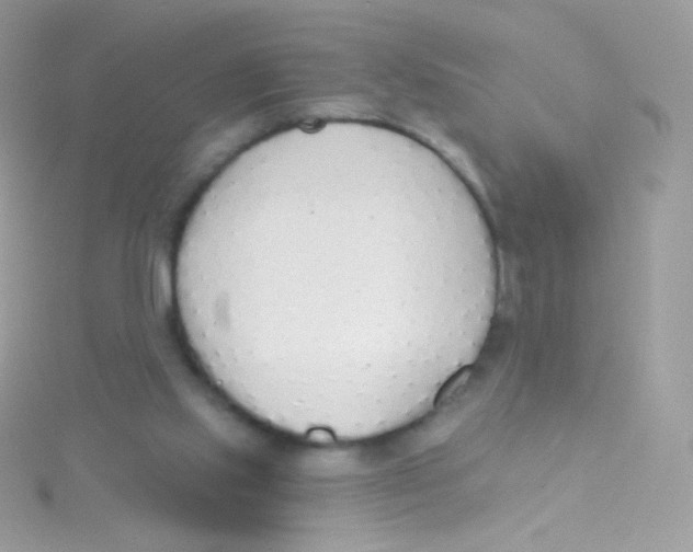 X0000115420061200911241356