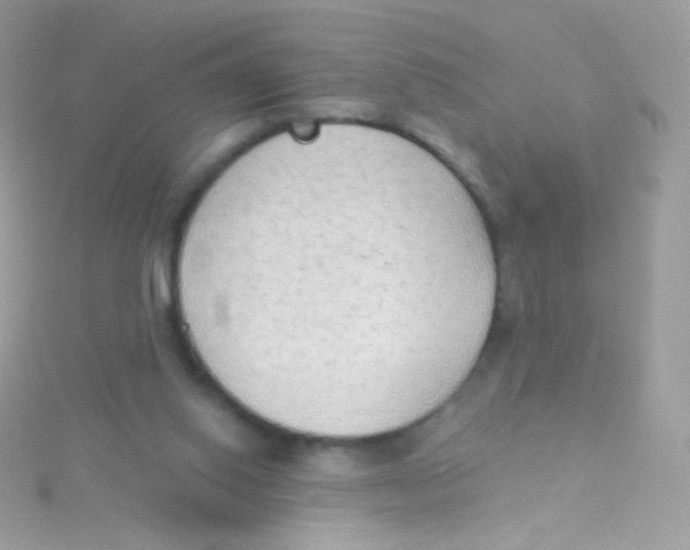 X0000115420062200911241356