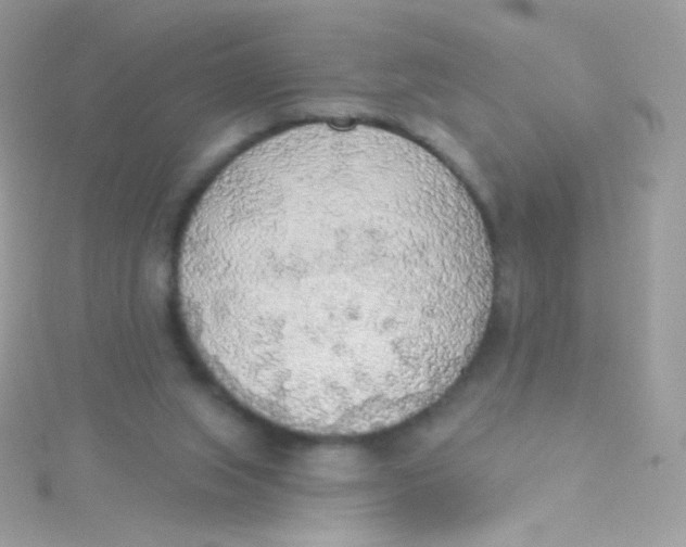 X0000115420063200911241356