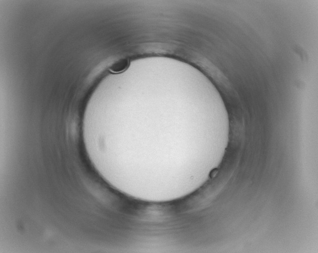 X0000115420064200911241356