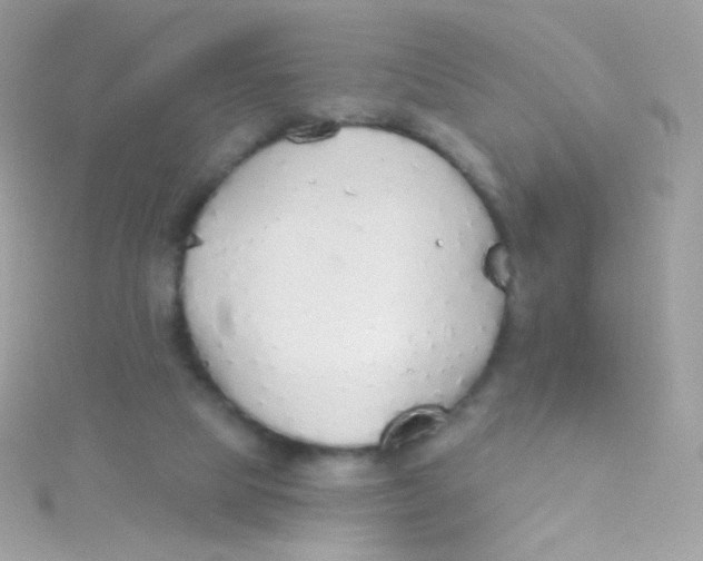 X0000115420065200911241356