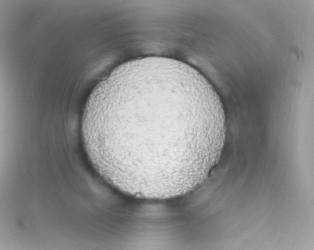 X0000115420066200911241356