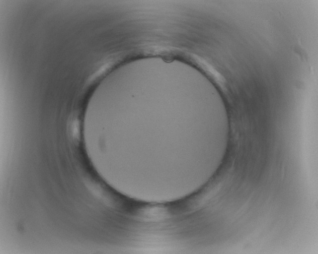 X0000115420067200911241356