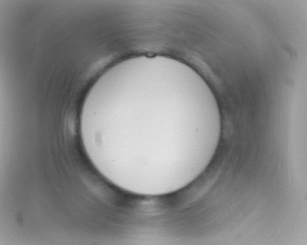 X0000115420068200911241356