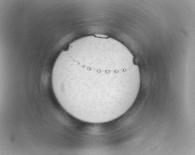 X0000115420071200911241356