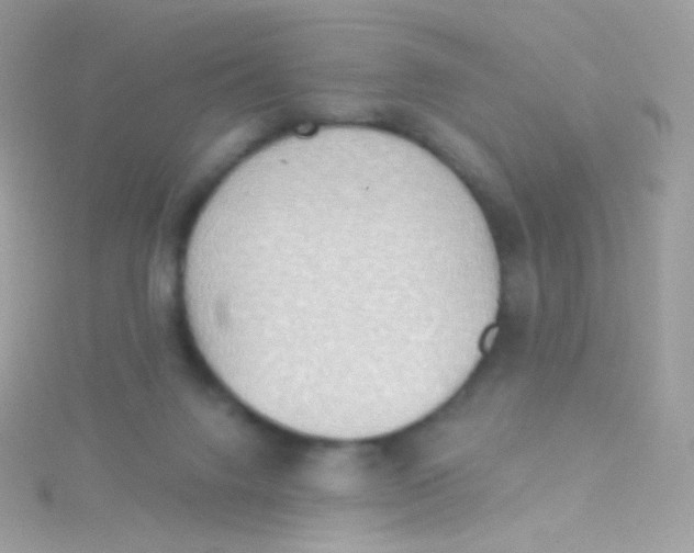 X0000115420072200911241356