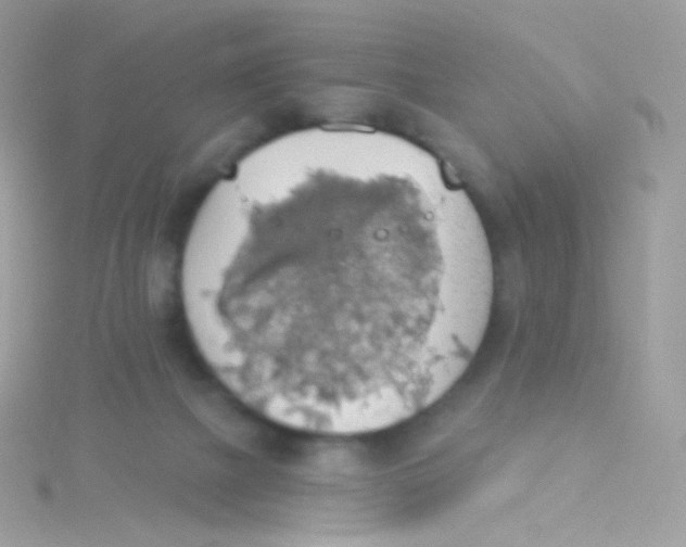 X0000115420073200911241356