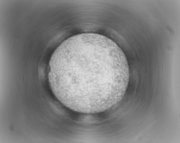 X0000115420074200911241356