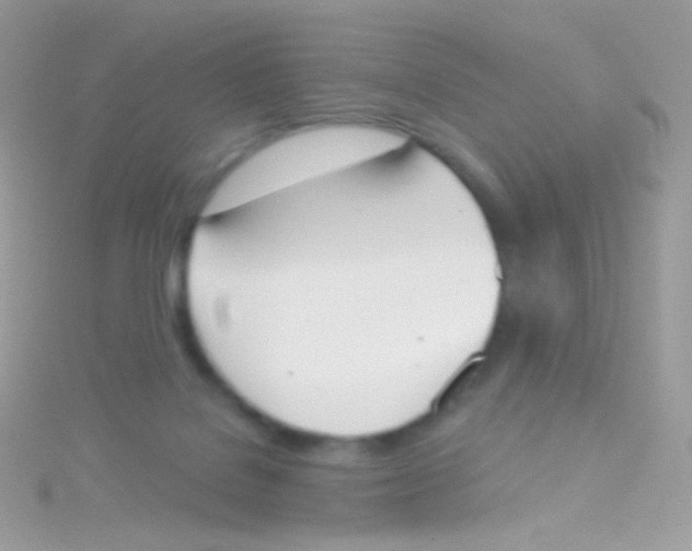 X0000115420076200911241356