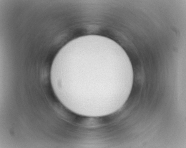 X0000115420082200911241357