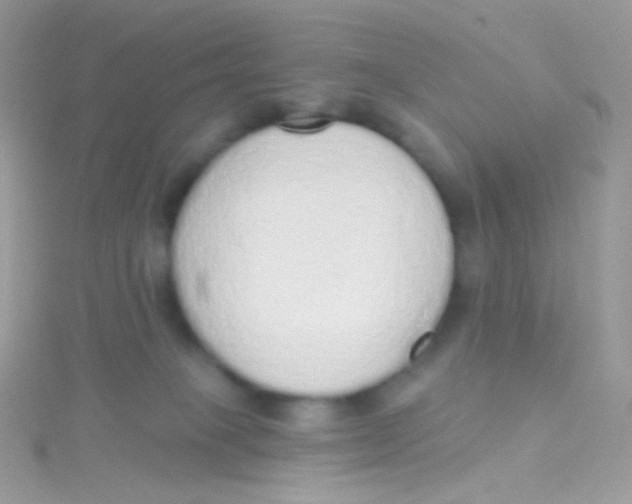 X0000115420085200911241357