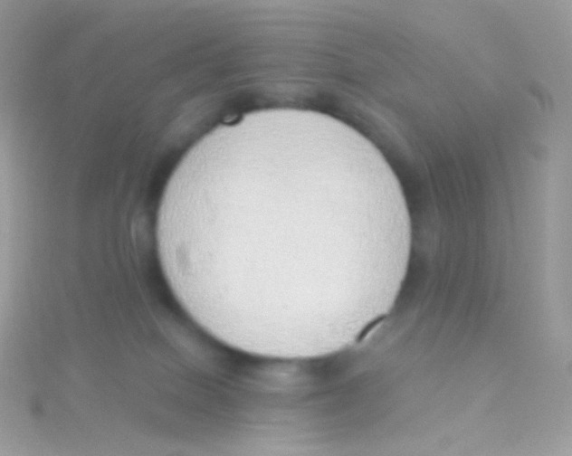 X0000115420086200911241357