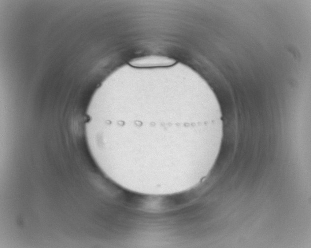 X0000115420090200911241357