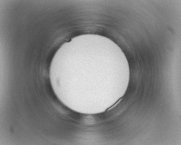 X0000115420091200911241357