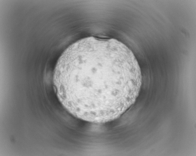 X0000115420093200911241357