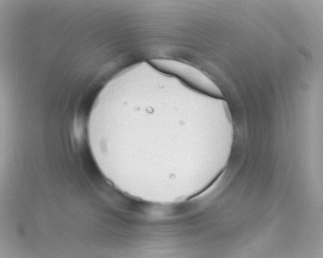 X0000115420094200911241357