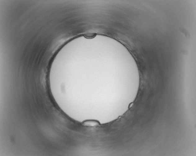 X0000115420098200911241356