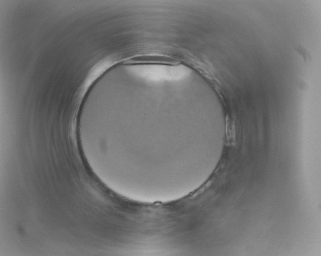 X0000115420099200911241356