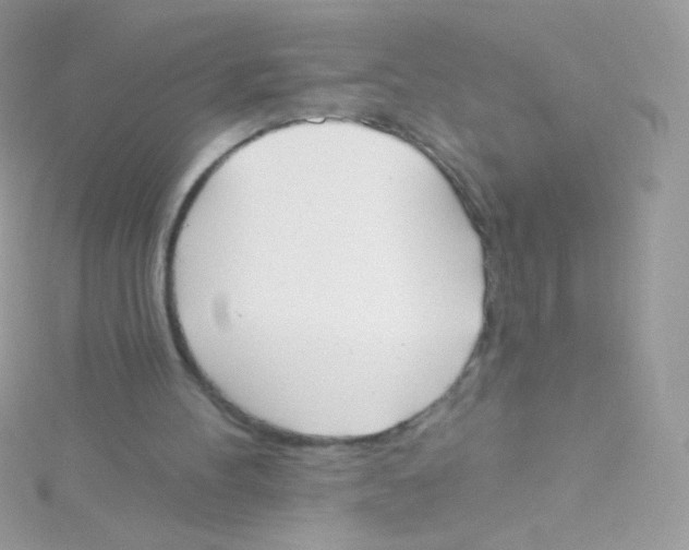 X0000115420100200911241356