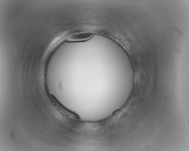 X0000115420101200911241356